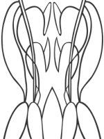 I2(0412)